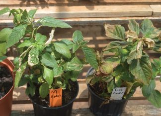 Geen toleransie is die oogmerk