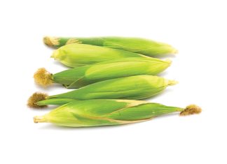 Mielies en sojabone: Wat is die vooruitsigte?