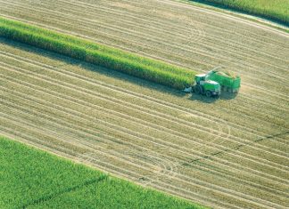 How to transition to a profitable, climate-resilient agribusiness