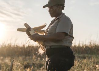 Blended finance – enhancing lending to emerging agriculture