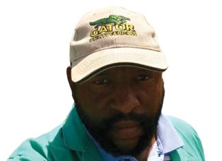 Teamwork makes the dream work