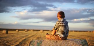 Estate planning – the family business of farming