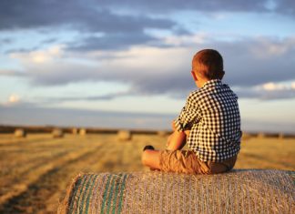 Estate planning – the family business of farming