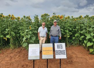 Laat jou grond vir jou werk