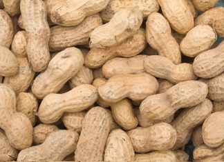 Verandering in klimaat skets ’n somber prentjie