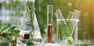Universities: relevant role-players in agricultural research