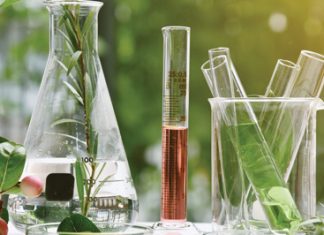 Universities: relevant role-players in agricultural research