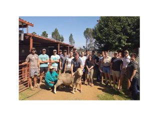 Putting theory into practice