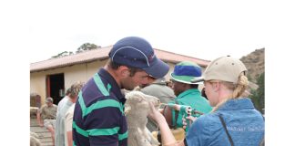 Landbou-gapjaar ’n eerste vir SA