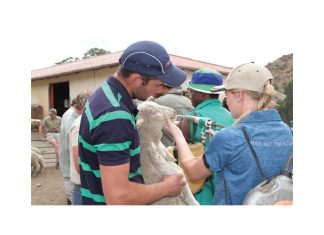 Landbou-gapjaar ’n eerste vir SA