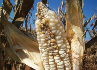 Toevlugsareas – ondersoeke, probleme en praktiese oplossings