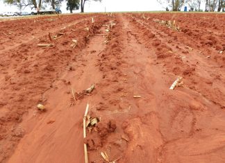 Dié ernstige skade aan grond kan voorkom word