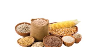Genome editing expands potential to feed the world