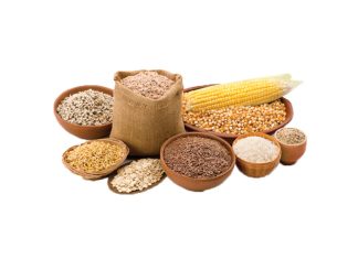 Genome editing expands potential to feed the world