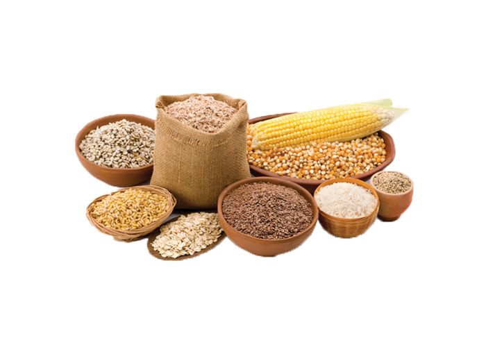 Genome editing expands potential to feed the world