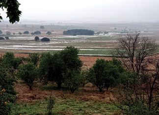 Ontsnap uit die greep van stygende koste