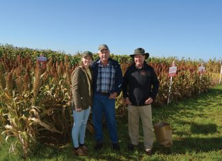 Volledige reeks by saadplotte verg spanpoging