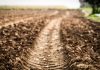 Effects of soil compaction on yield and profitability