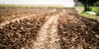 Effects of soil compaction on yield and profitability