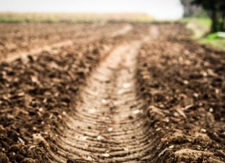 Effects of soil compaction on yield and profitability
