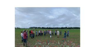 The how to of planter maintenance and fine-tuning
