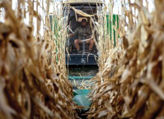 Trekker- en stroperverkope spreek boekdele