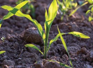 Jou trots ons passie