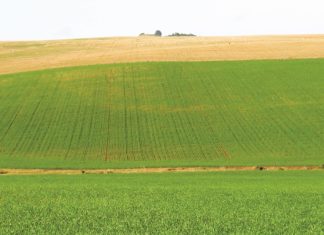 Tyd vir herfokus bou voort met nuwe denke vir gars