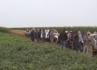 Plaasproewe het groot waarde