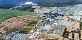 NAMPO Kaap blom in die Overberg
