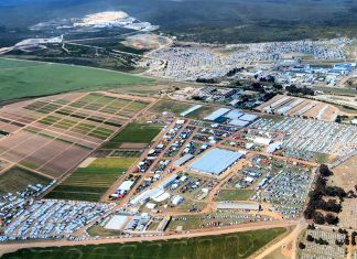 NAMPO Kaap blom in die Overberg