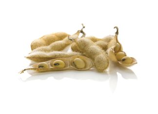 Behaal só sukses met sojabone in die Wes-Vrystaat