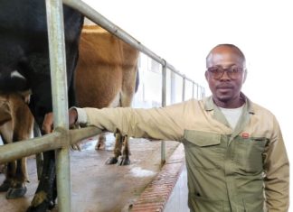 A call of duty became a passion