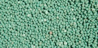 Nature-based farming uses less fertiliser
