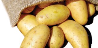 Finding the best cropping sequences for the Eastern Free State