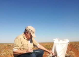 Winterdekgewasse op droëland: Wat sê die navorsing?