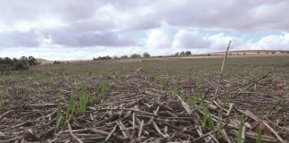 Ten years of regenerative farming progress