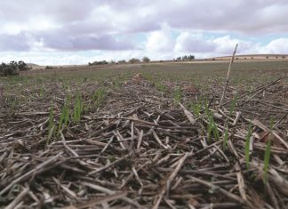 Ten years of regenerative farming progress