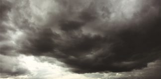 Rain or sunshine on the SA horizon?