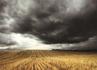 Rain or sunshine on the SA horizon?