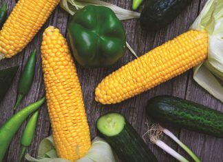 SA more food secure despite fragile global score