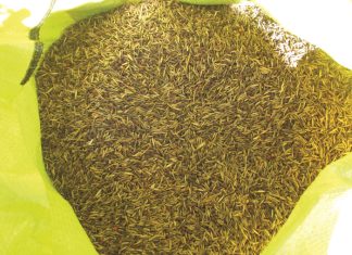 Dekgewasse se moets en moenies