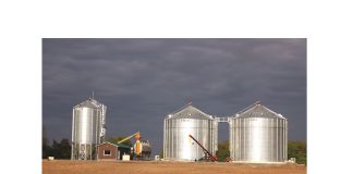 Faal operateurs in hul belofte aan die graanmark?