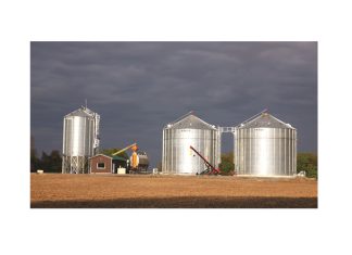 Faal operateurs in hul belofte aan die graanmark?