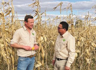 Alliansiemodel gee produsente ’n hupstoot