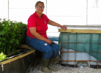 Grondlose boerdery bied kontantopsies