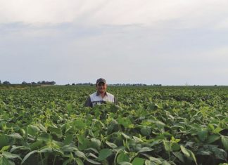 Geen rus op dié plaas nie