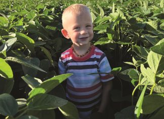 Wisselbou en grondgesondheid is boublokke van sukses