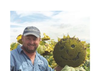 Basiese beginsels bly bobaas