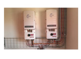 Pasop vir klein jakkalsies wat die wingerd verniel